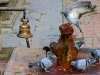 Pigeons at a shrine