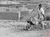 Transporting clay in a wheelbarrow