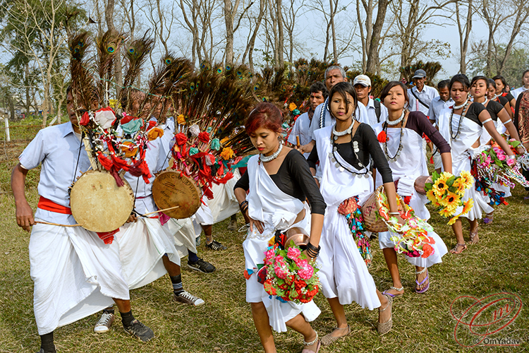 Traditional Tharu cultural dance