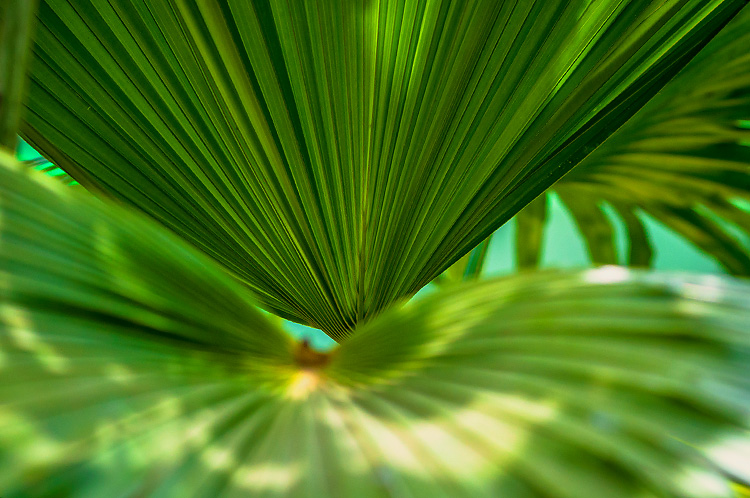 www.facebook.com/samirfotografy