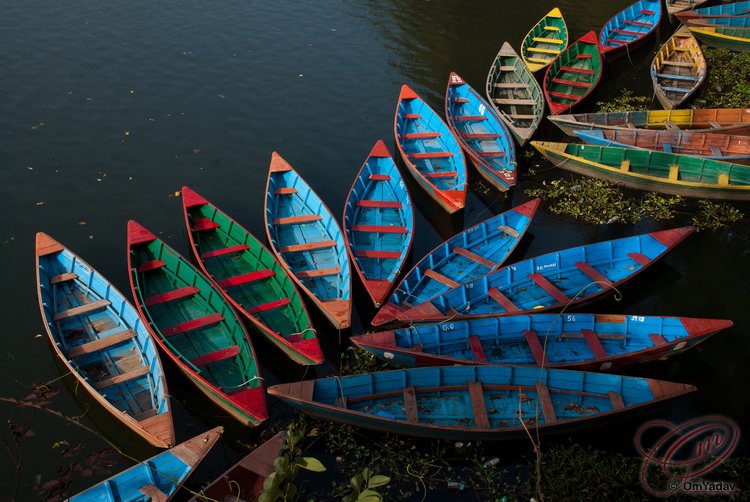 Parked boats in Fewa lake