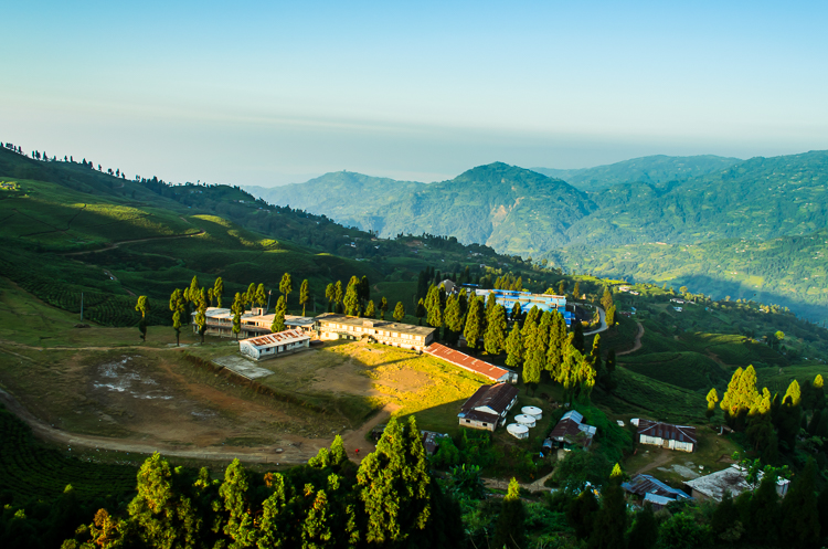 A community school within the tea garden