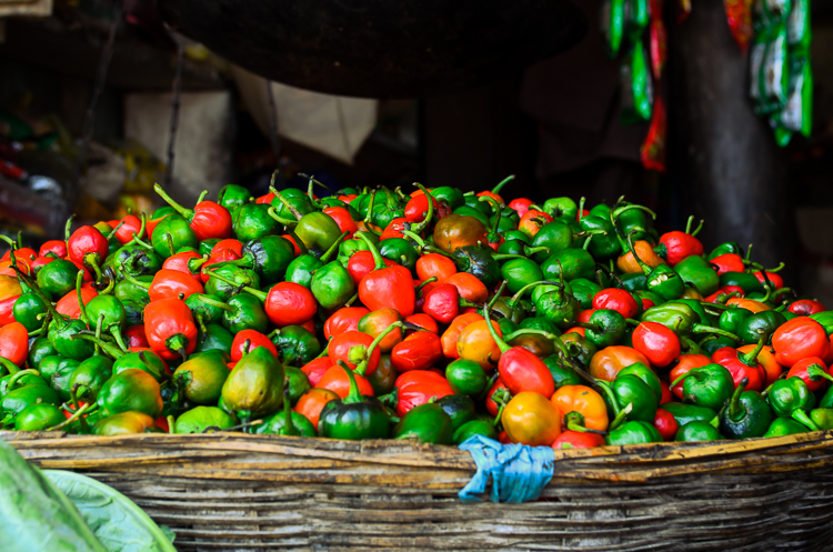 "Akbare Khursani" , the round chilli
