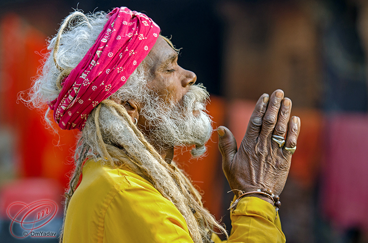 Sadhu