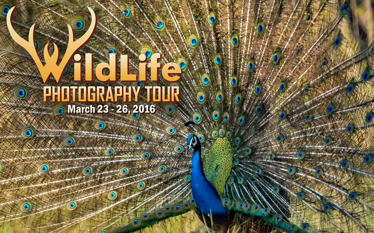 Wildlife Photography Trip to Chitwan National Park