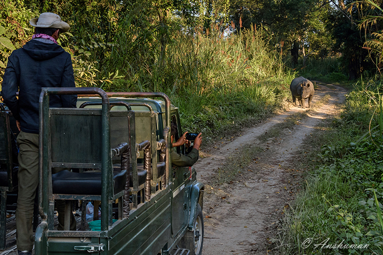 Chitwan trip